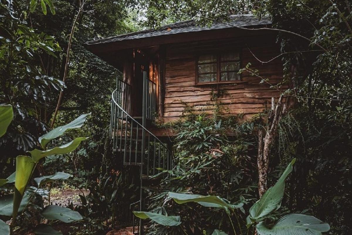 Roots Tree House Βίλα Uluwatu Εξωτερικό φωτογραφία