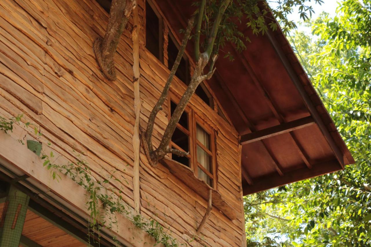 Roots Tree House Βίλα Uluwatu Εξωτερικό φωτογραφία